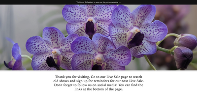 Blooming Online: Barefoot Orchids Turns Live Shopping into Growth