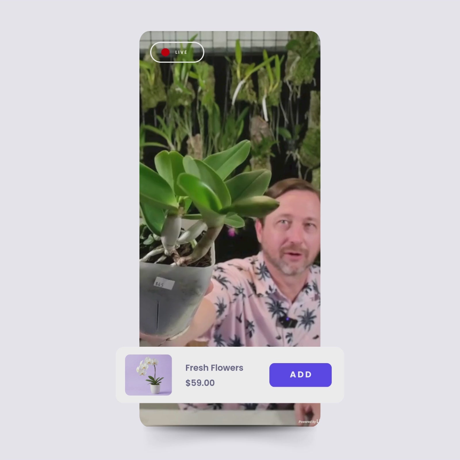Growing with Live Shopping
